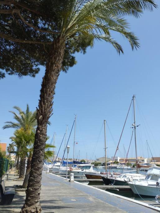 Studio 4 Couchages Avec Piscine D'Ete Vue Port Agde Exterior foto